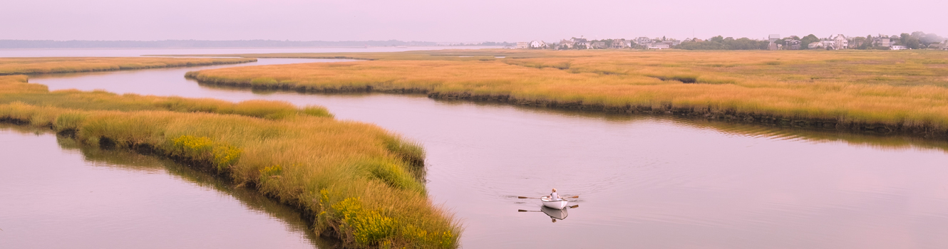 salt marsh in newbury