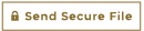 send a secure file button
