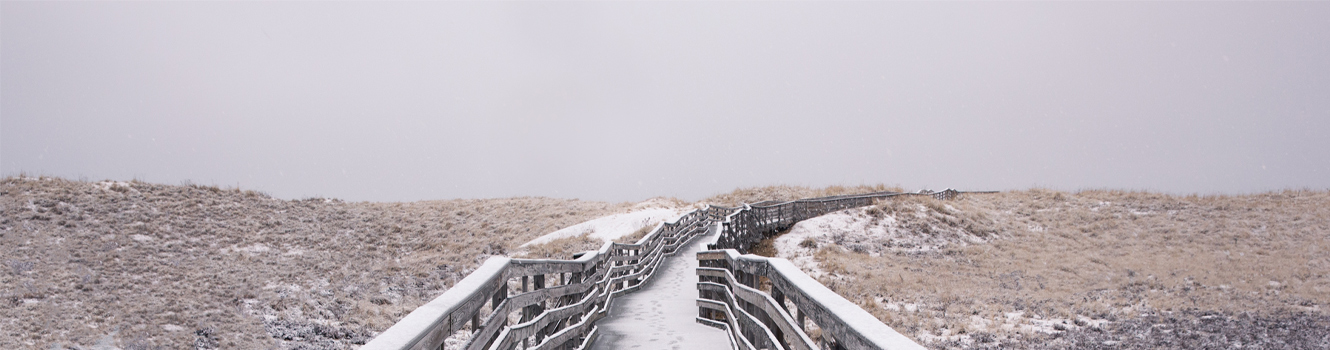 Newbury plum island in winter