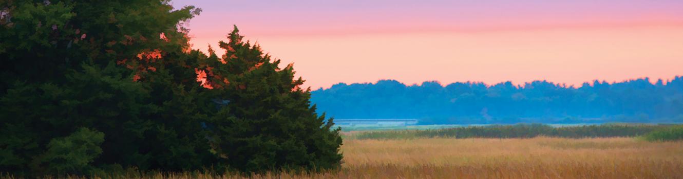 rowley marsh sunset