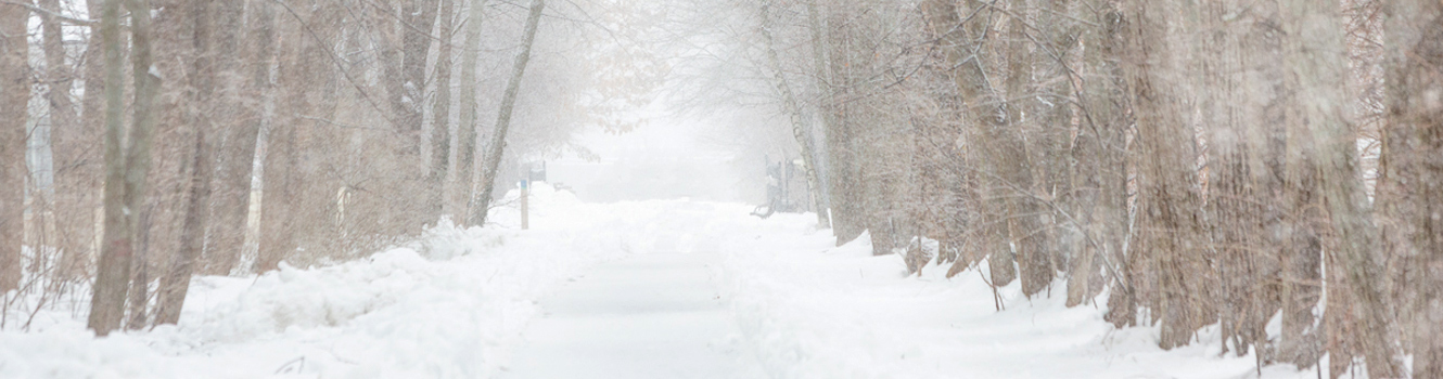 newburyport rail trail on snowy day
