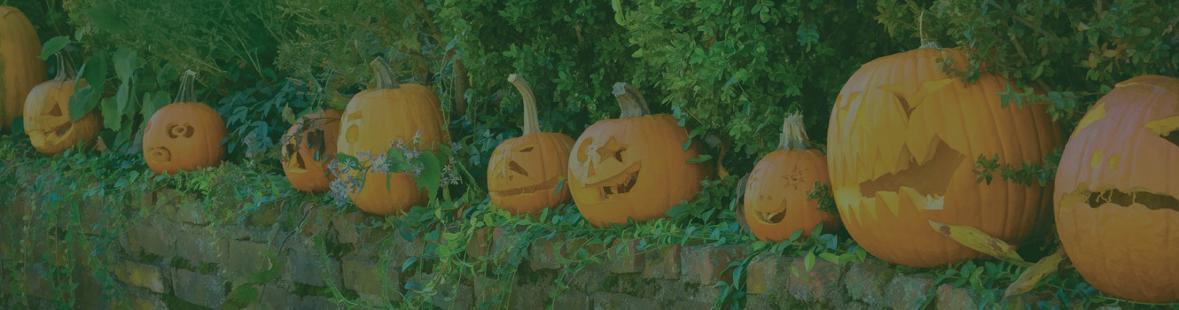 pumpkins on wall