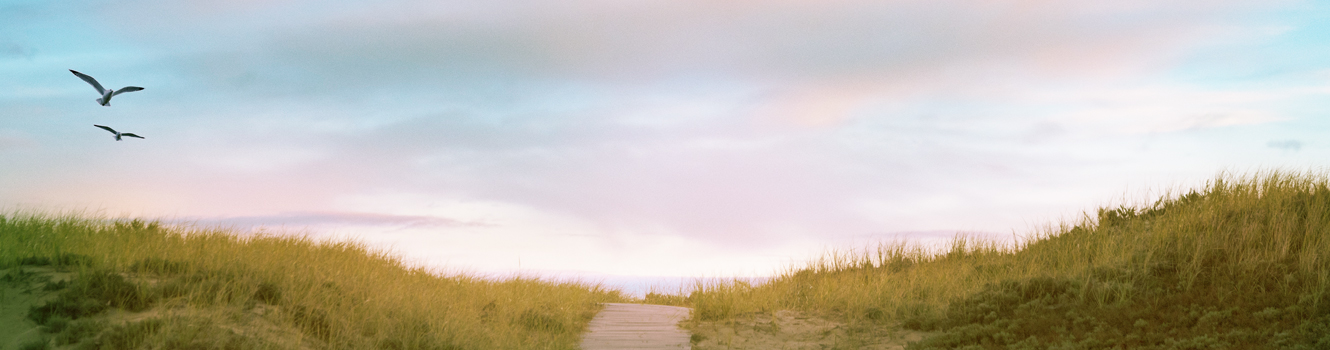 seabrook beach